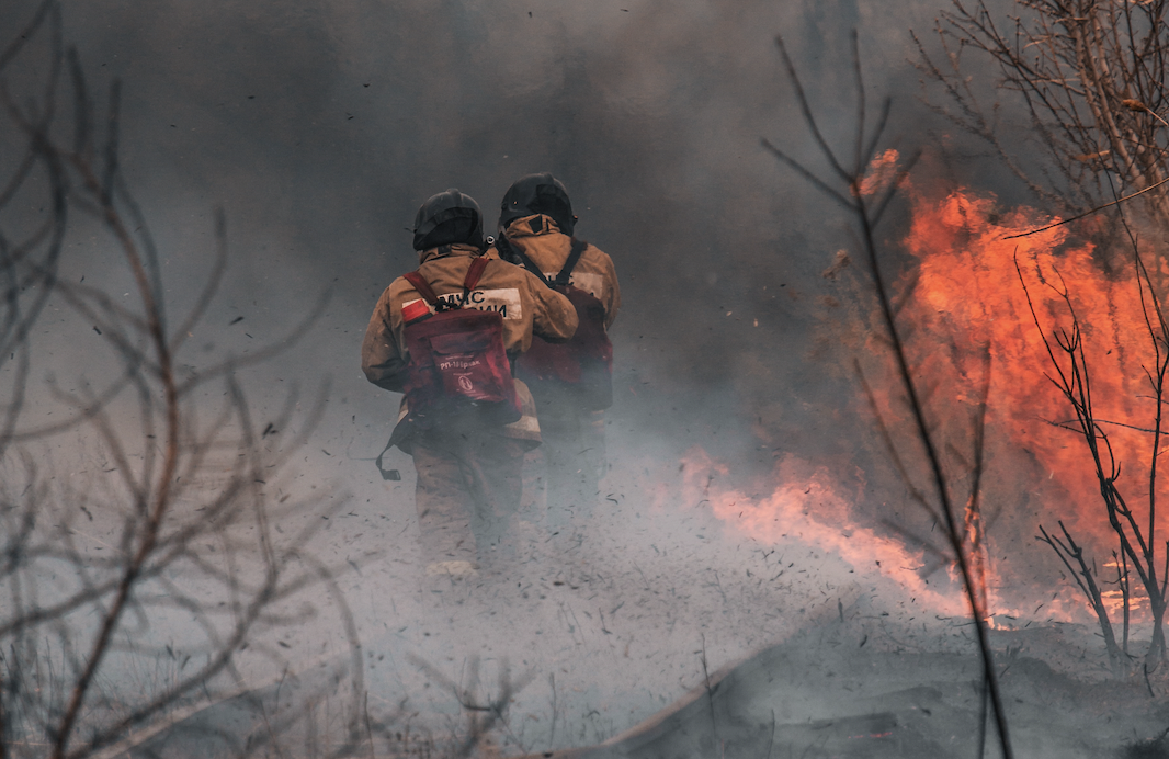 two firefighters in a forest fire