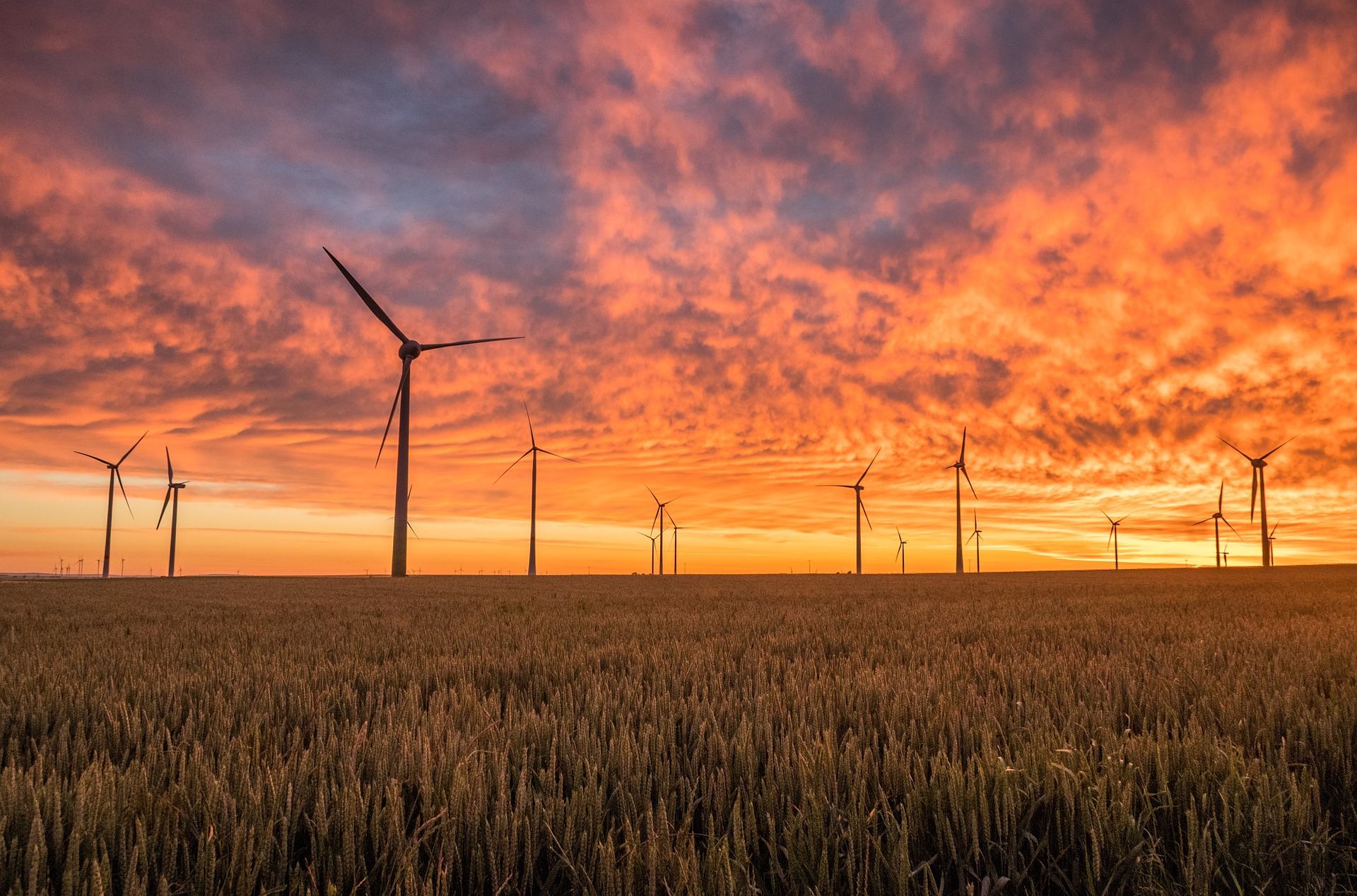 Wind turbines at sunset