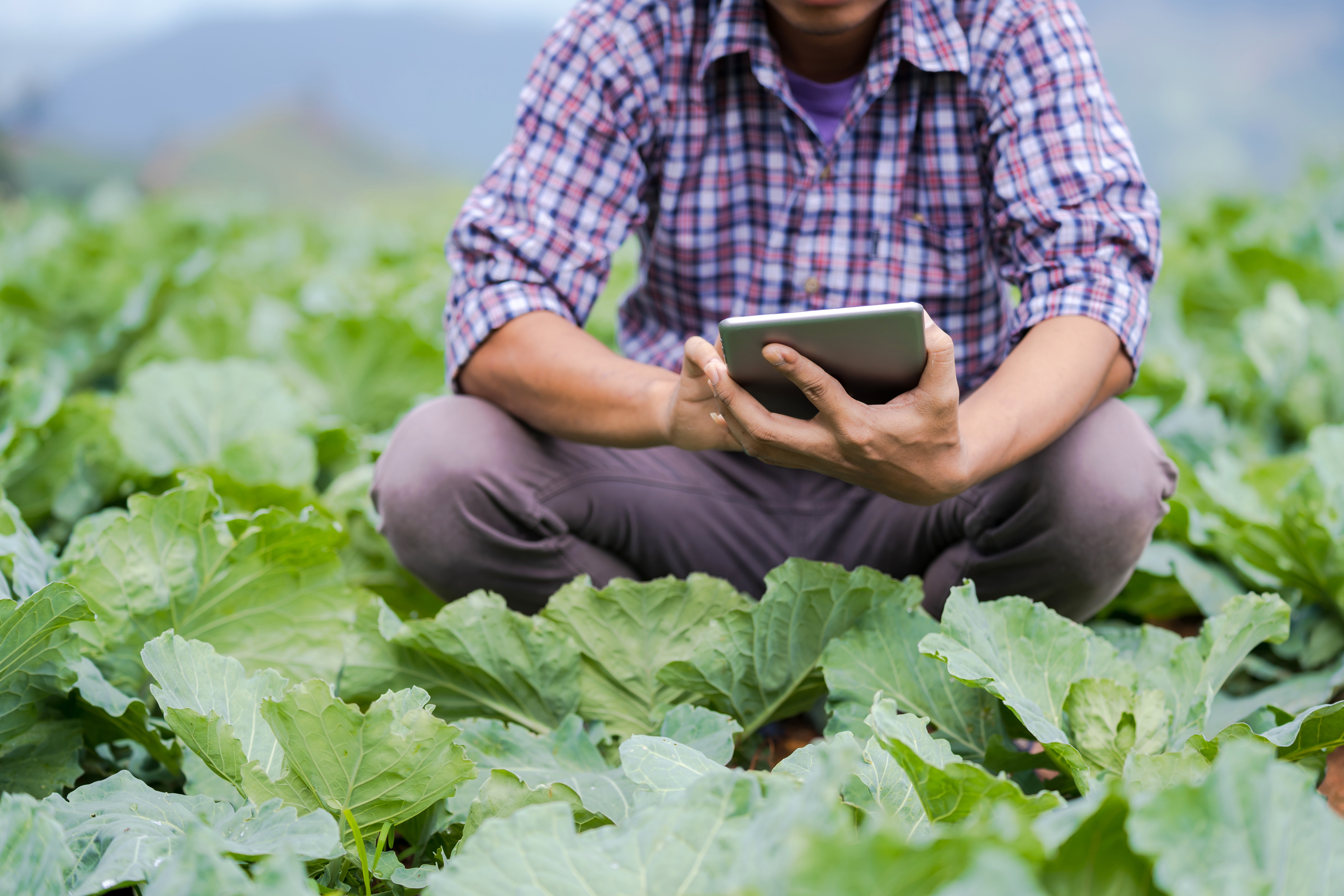 Digital farmer