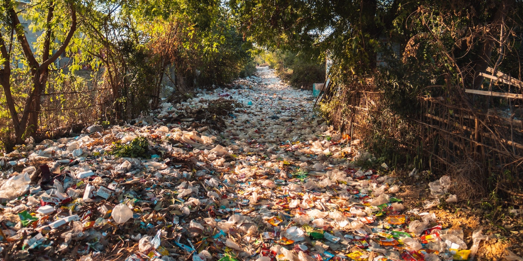 a path in a forest filled with plastic and other waste