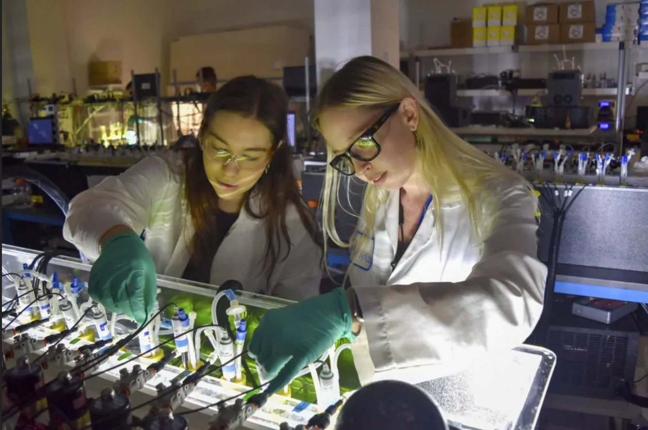 Two lab technicians study algae biofuel
