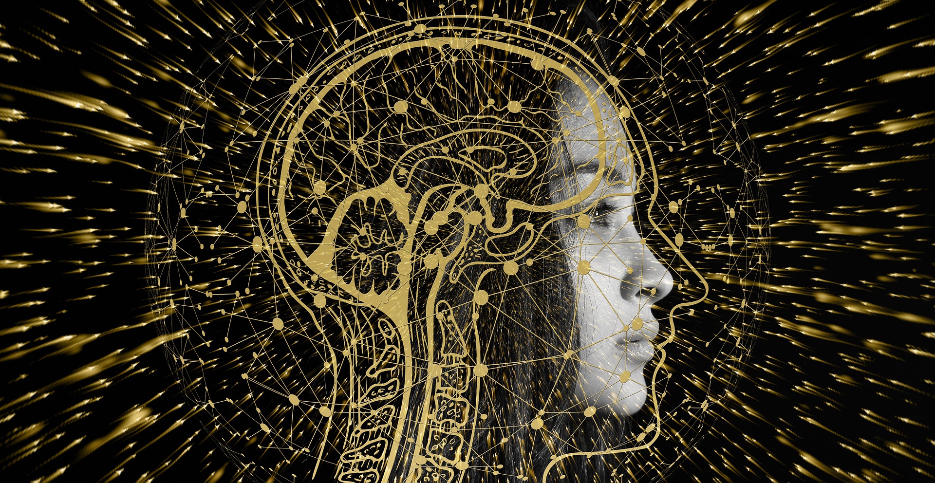 Black and gold diagram of the brain incorporating a black-and-white photo of a woman's face