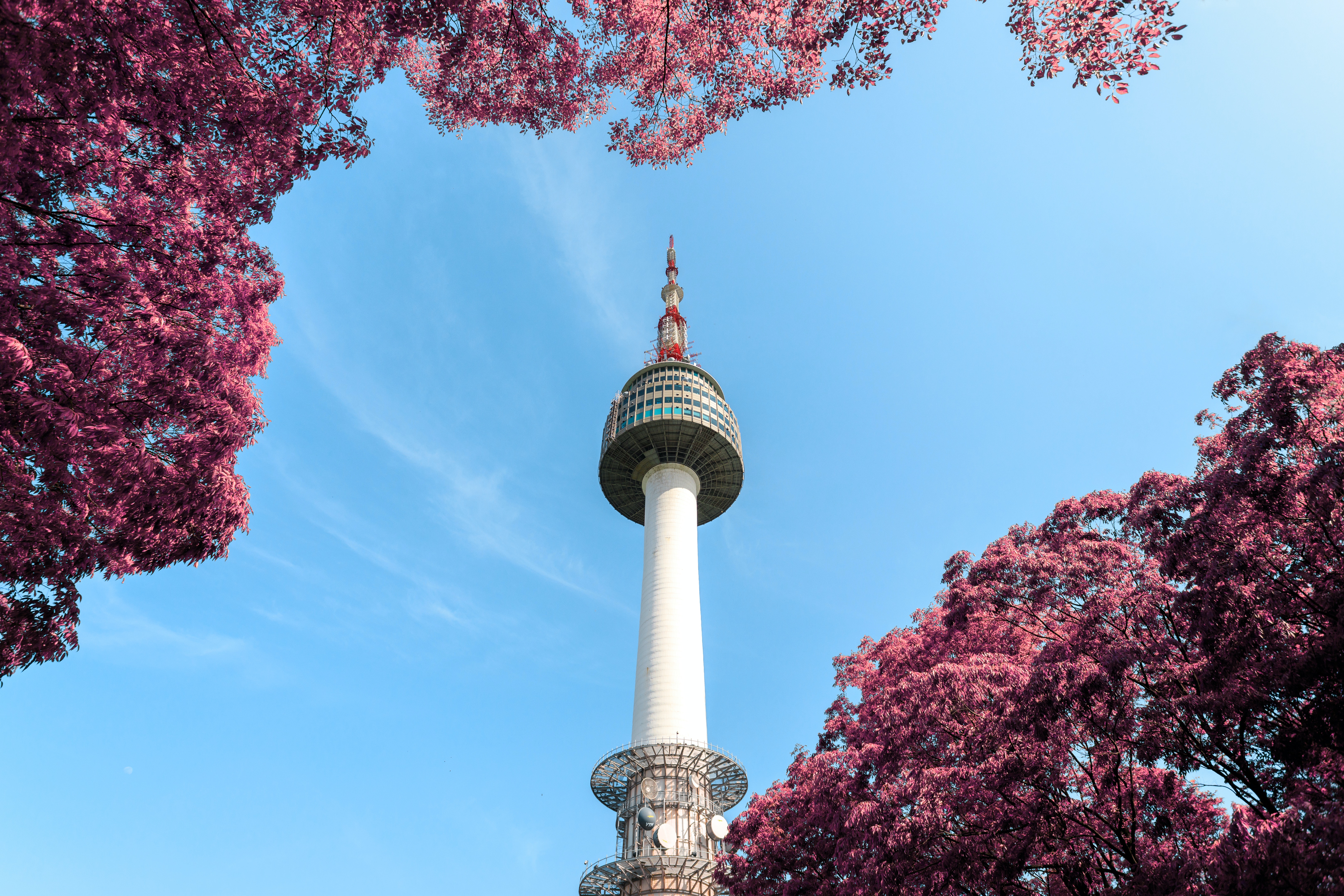 Low-Angle Photo of N Seoul Tower