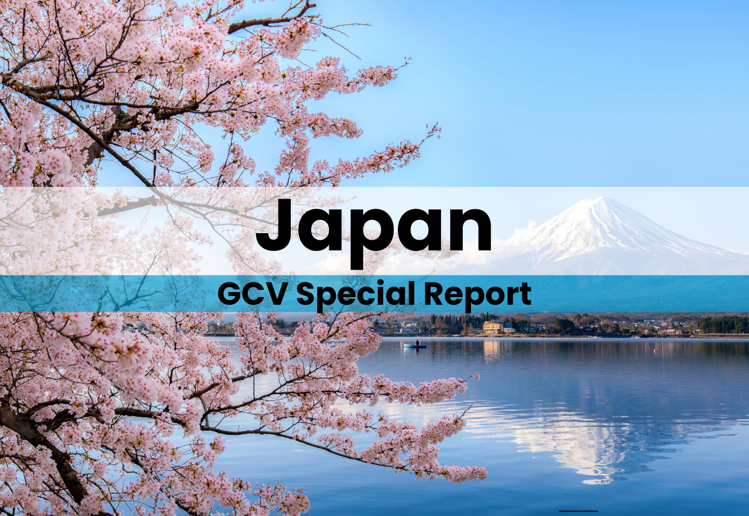 Japan report header