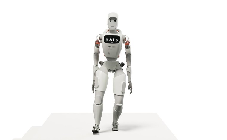 Humaoid robots