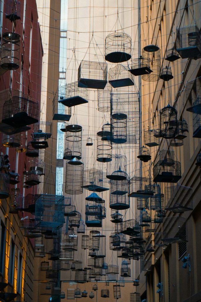 Hanging birdcages above Angel Place in Sydney.